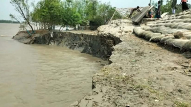 খোলপেটুয়ার বেড়িবাঁধে ভয়াবহ ভাঙন, আতঙ্কে হাজারো মানুষ