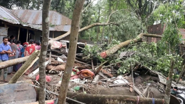 অকস্মাৎ শিলাবৃষ্টি-কালবৈশাখী ঝড়ে প্রাণ গেল বৃদ্ধার