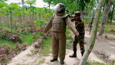 চুয়াডাঙ্গায় ফসলের ক্ষেতে ৭ ল্যান্ডমাইন!