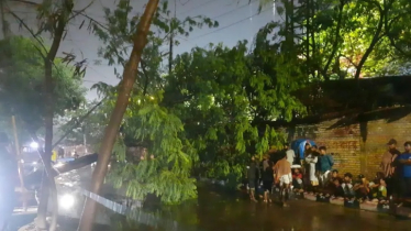 রাজধানীতে তীব্র ঝড়-বৃষ্টি, গাছ উল্টে বন্ধ হলো সড়ক রাজধানীতে তীব্র ঝড়-বৃষ্টি, গাছ উল্টে বন্ধ হলো সড়ক