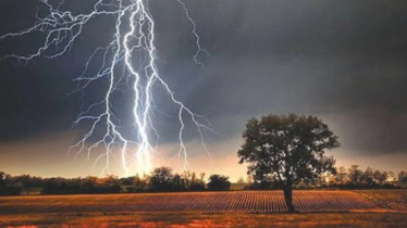 পেঁয়াজ ক্ষেতে কাজ করতে গিয়ে ঘরে ফেরা হলো না বাবা-ছেলের