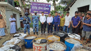 ১৭০০ কেজি জাটকা জব্দ করে মাদ্রাসা ও এতিমখানায় বিতরণ