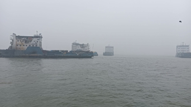 ঘন কুয়াশায় দেড় ঘণ্টা বন্ধের পর দৌলতদিয়া-পাটুরিয়া ফেরি চলাচল স্বাভাবিক