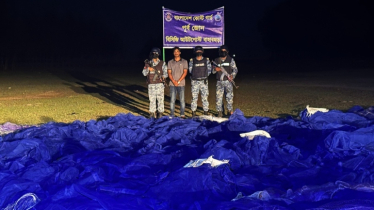 টেকনাফে ১১৮ কোটি টাকা মূল্যের অবৈধ জাল জব্দ 