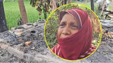 নেশার টাকা না পেয়ে মাকে মারধর করে বসতঘর পোড়ালো মাদকাসক্ত ছেলে