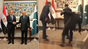 মিসরের পররাষ্ট্রমন্ত্রীকে শুভেচ্ছা জানাতে গিয়ে পা পিছলে পড়ে আহত পাকিস্তানের পররাষ্ট্রমন্ত্রী