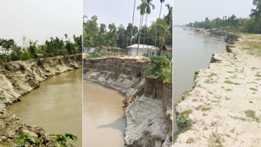 ব্রহ্মপুত্রের ভাঙন: এক সপ্তাহে গৃহহীন ৫০ পরিবার, ঝুঁকিতে শতাধিক