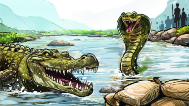 যে কারণে বাংলাদেশ সীমান্তে সাপ ও কুমির ছাড়তে চাচ্ছে ভারত