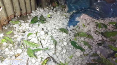 ৫ দিন রয়েছে বজ্রবৃষ্টির আভাস, হতে পারে শিলাবৃষ্টি