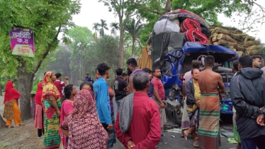 মাদারীপুরে পিকআপ-ট্রাকের সংঘর্ষে শিশুসহ আহত ৮