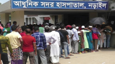 মাংস ভাগাভাগি নিয়ে সংঘর্ষ-গোলাগুলি, আহত ২৫   