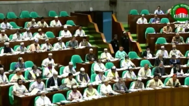 সংসদে তারেক রহমান-আরাফাত রহমানকে ‘শিশু মুক্তিযোদ্ধা’ ঘোষণার দাবি