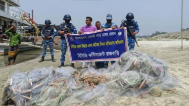 রাজবাড়ীতে পদ্মায় অভিযান, ১ লাখ মিটার কারেন্ট জাল জব্দ
