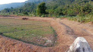 ভারত থেকে আসা খাসিয়াদের ছররা গুলিতে প্রাণ গেলো এক বাংলাদেশির