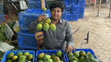 ভুয়া অর্ডার দিয়েও আমাকে হয়রানি করতো জামায়াত: তারেক 