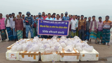 মাইক্রোবাসে মিললো ২৫ লাখ টাকার চিংড়ি রেনু, পদ্মায় অবমুক্ত