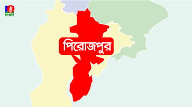একসঙ্গে ৩ সন্তানের জন্ম দিলেন নারী