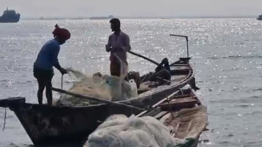 জেলেদের জালে ধরা পড়ছে না কাঙ্ক্ষিত ইলিশ