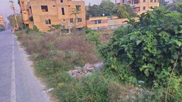 যবিপ্রবির সামনে ময়লার ভাগাড়, দুর্গন্ধে চরম ভোগান্তি শিক্ষার্থীদের