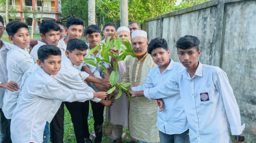মনোহরগঞ্জে শিক্ষার্থীদের হাতে ২০০ গাছের চারা তুলে দিলেন বিএনপি নেতা