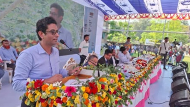 দেশের সব বিশ্ববিদ্যালয়ে স্কিল ডেভেলপমেন্ট সেন্টার স্থাপনের উদ্যোগ নেওয়া হচ্ছে: ড. মামুন