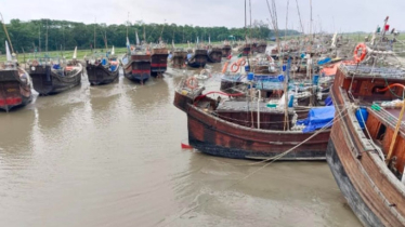 মধ্যরাত থেকে শুরু হচ্ছে জাটকা ইলিশ শিকারে ৮ মাসের নিষেধাজ্ঞা