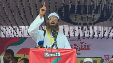 সরকারকে লাল কার্ড দেখাবে জনগণ: মামুনুল হক সরকারকে লাল কার্ড দেখাবে জনগণ: মামুনুল হক