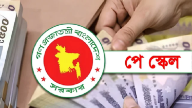 নতুন পে-স্কেলে ভাতা নিয়ে বড় দুঃসংবাদ!