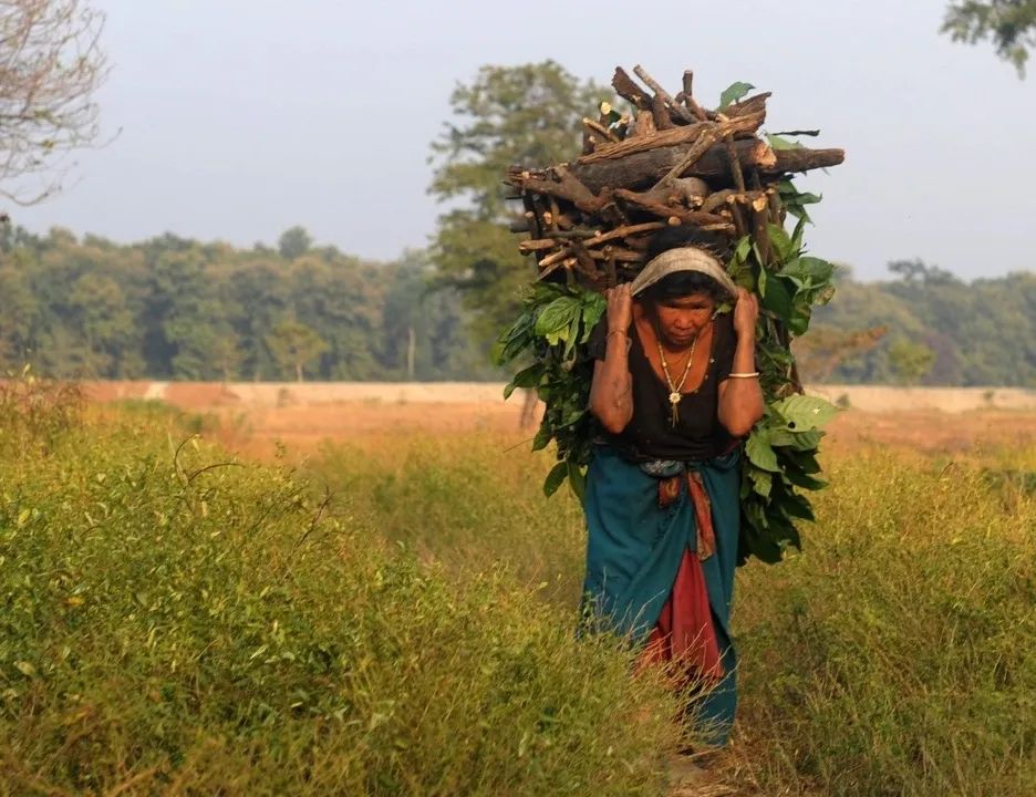 কেবল নিজের ছবি নয় প্রকৃতি ও খেটেখাওয়া মানুষের ছবিও শেয়ার করেন মধুমিত