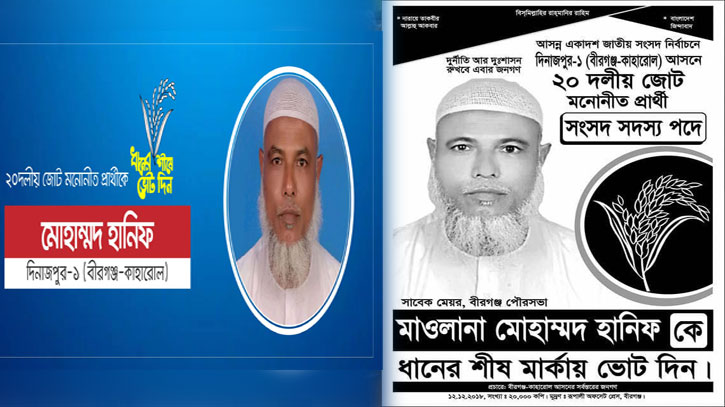 ২০১৮ সালে বিএনপি-জামায়াত নেতৃত্বাধীন জোট থেকে ধানের শীষ প্রতীক নিয়ে জাতীয় নির্বাচনে প্রার্থী হন মাওলানা মোহাম্মদ হানিফ।