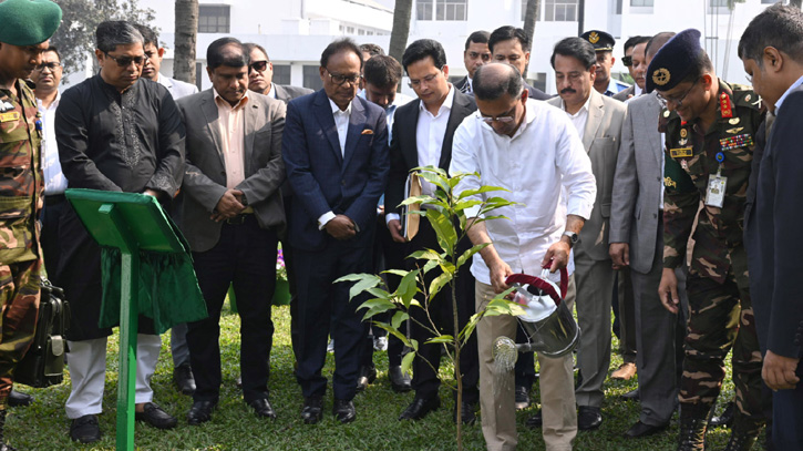 প্রধানমন্ত্রীর কার্যালয়ে একটি স্বর্ণচাঁপা গাছের চারা রোপণ করেন তারেক রহমান।