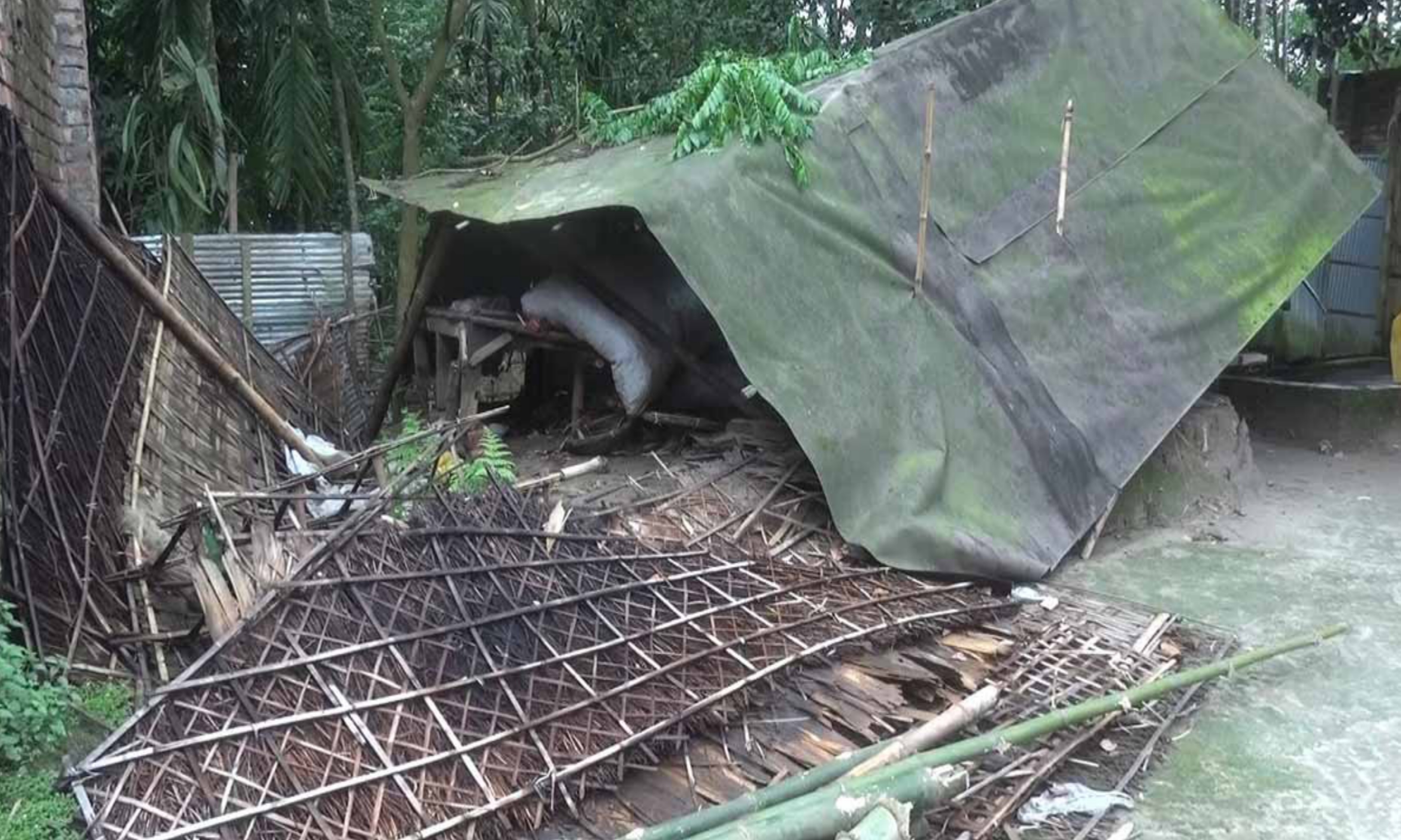 এই ঘরে থাকতেন নবির হোসেন ও তার স্ত্রী সুফিয়া, ঘরটি গুড়িয়ে দেয় ছেলে সাইদুল
